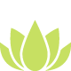 icon_lotus_80 icon_lotus